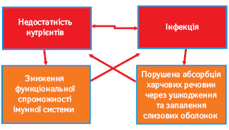  Взаємний вплив недостатності нутрієнтів та інфекції