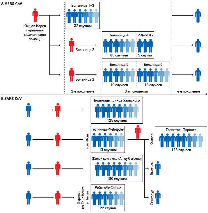  Упрощенные схемы распространения инфекции MERS-CoV (А) и SARS-CoV (В); «суперраспространители» — красным (Wong G. et al., 2015)