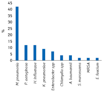  Бактериальные патогены, выявленные у пациентов с COVID-19, как доля (%) от общего числа (n = 27), при этом 