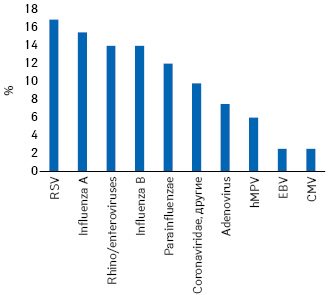  Доля вирусных патогенов (%) от общего числа выявлений (n = 71), в том числе RSV — Respiratory Syncytial Virus, hMPV — human Metapneumovirus, EBV — Epstein — Barr Virus, CMV — Cytomegalovirus